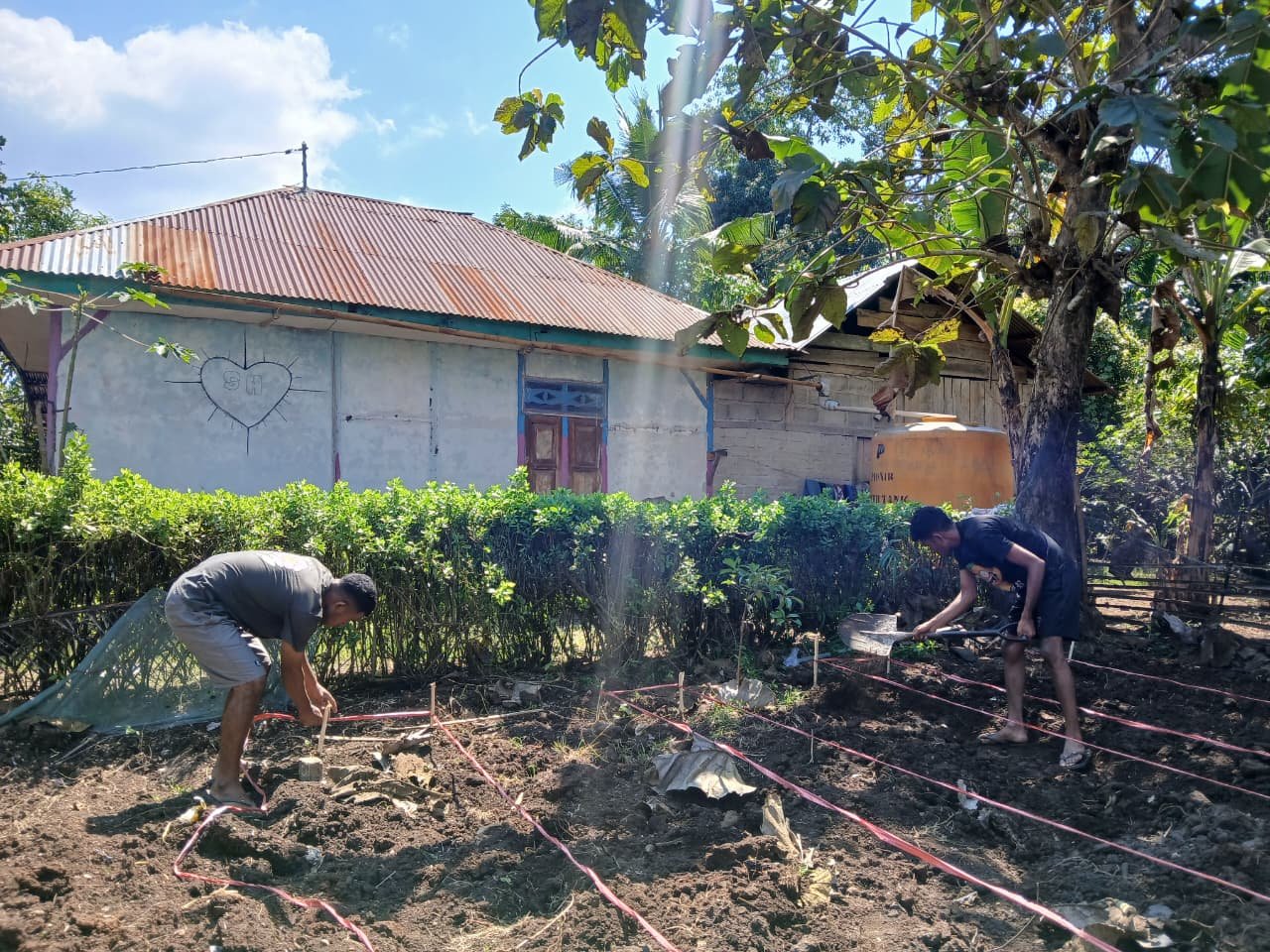 Mahasiswa KBPM bersama pemuda kopidil melaksanakan pembuatan Bedeng penanaman sayur