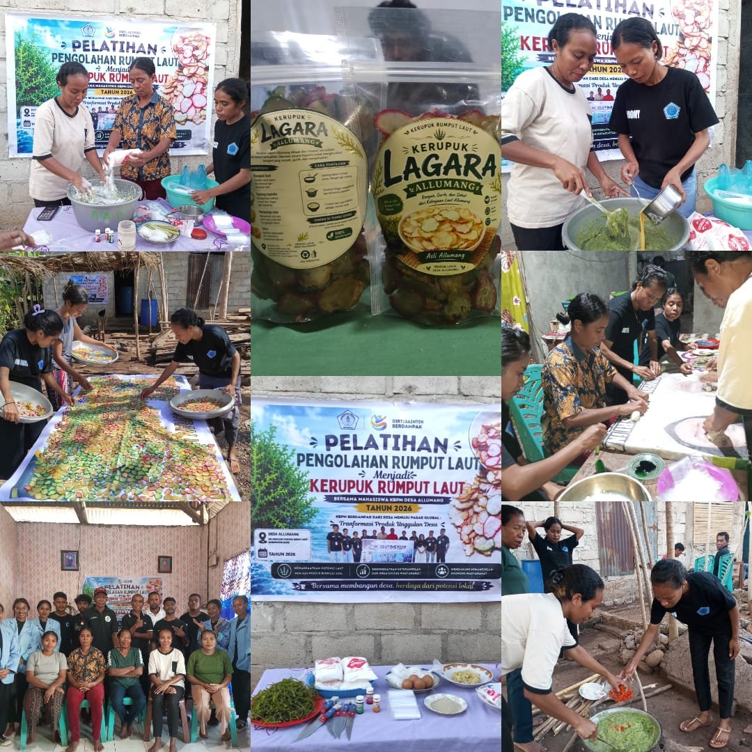 Kembangkan Potensi Desa, Mahasiswa KBPM UNTRIB Desa Allumang Gelar Pelatihan Pengolahan Rumput Laut Menjadi Kerupuk Rumput Laut. - [Desa Allumang]
