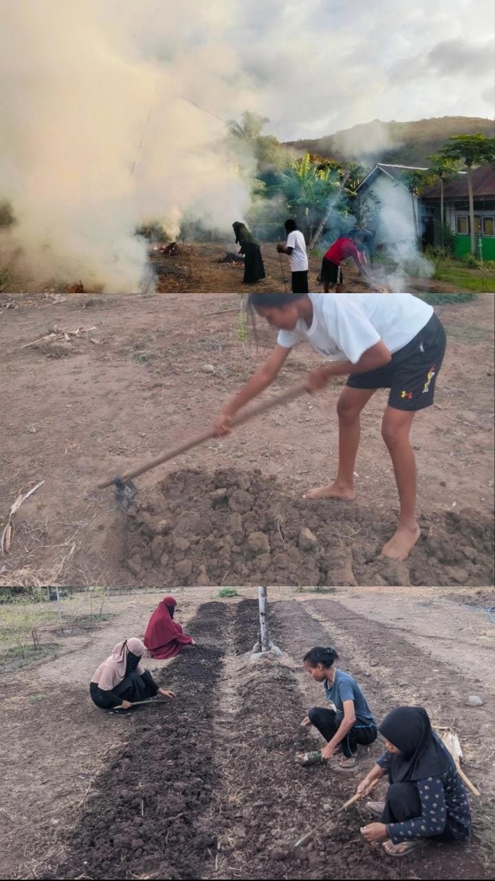 MAHASISWA KBPM UNTRIB KALABAHI LAKUKAN PEMBUATAN BEDENG DI KEBUN DESA TULLENG