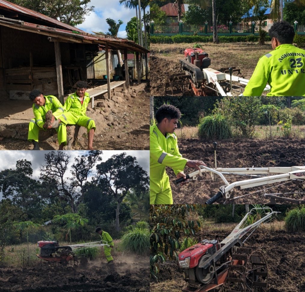 Pengolahan Lahan Percontohan Hortikultura oleh Peserta KBPM Desa Tanglapui